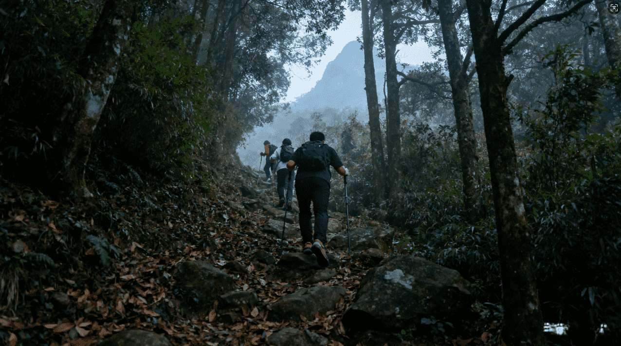 如何利用梯子实现网络畅享加速器体验